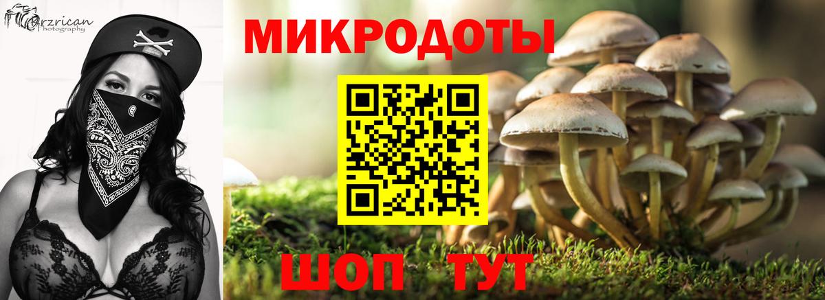 Галлюциногенные грибы ЛСД Курчатов
