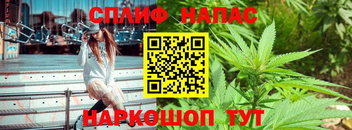 Бошки Шишки MAZAR Курчатов